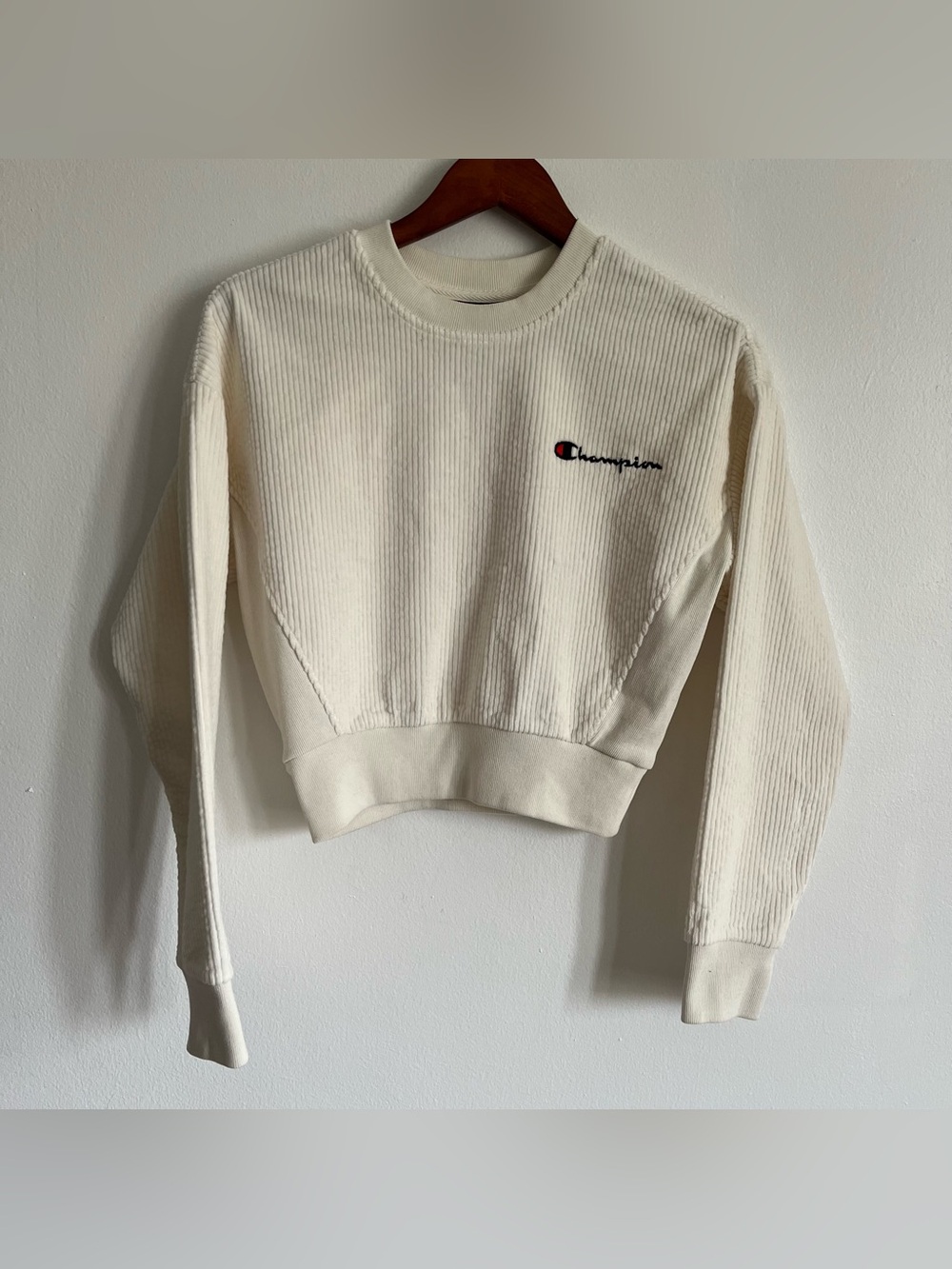 Urban Outfitters x Champion Sweatshirt